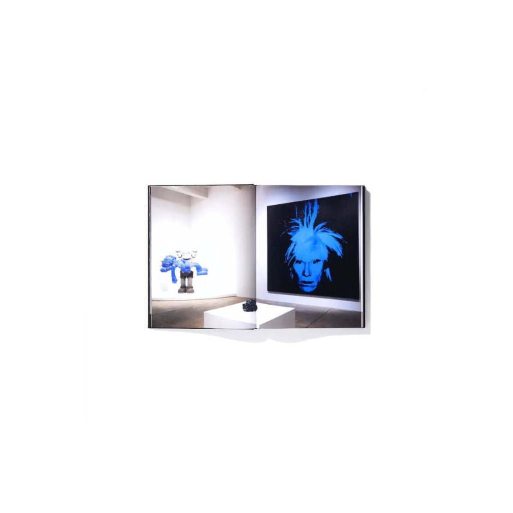 Libro KAWS + Warhol